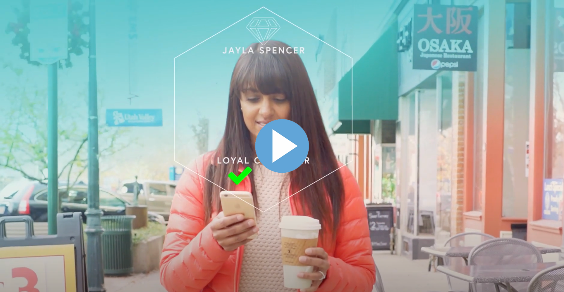 Tealium Customer Data Hub